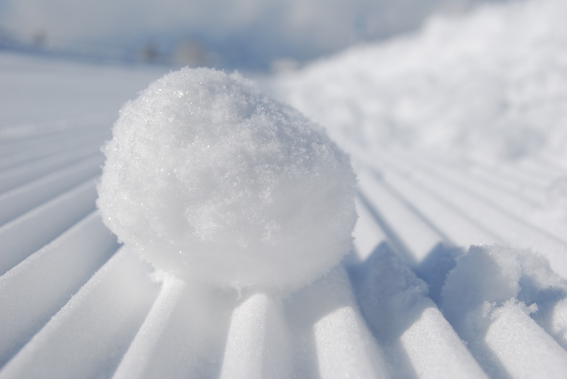 The snowball effect | Canadian Mennonite Magazine