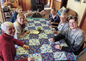 02-31-judy_hildebrand_crystal_city_quilting_photo