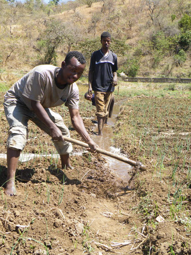 What aid work looks like in Africa