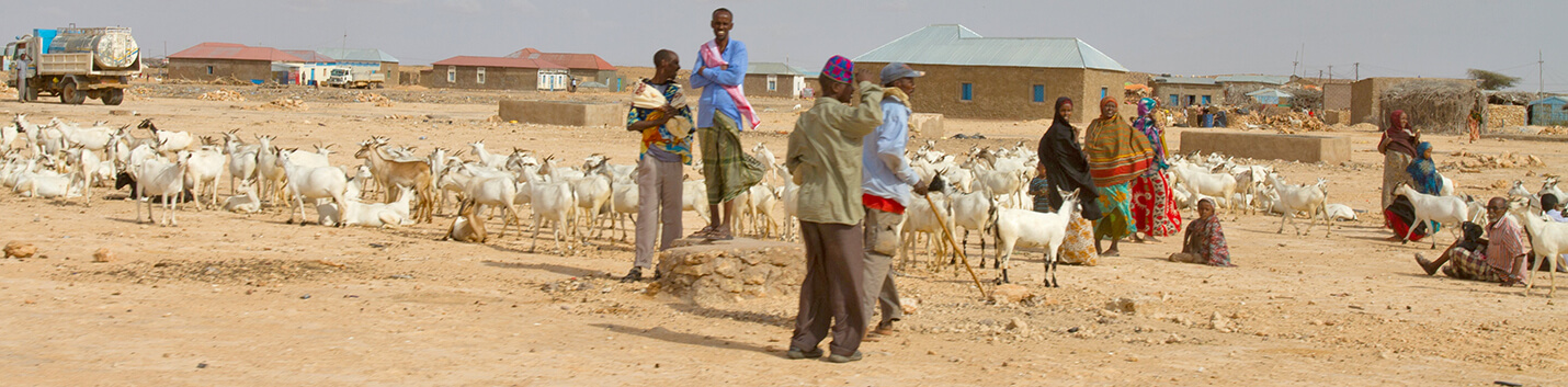 Foodgrains Bank responding to Somali hunger crisis