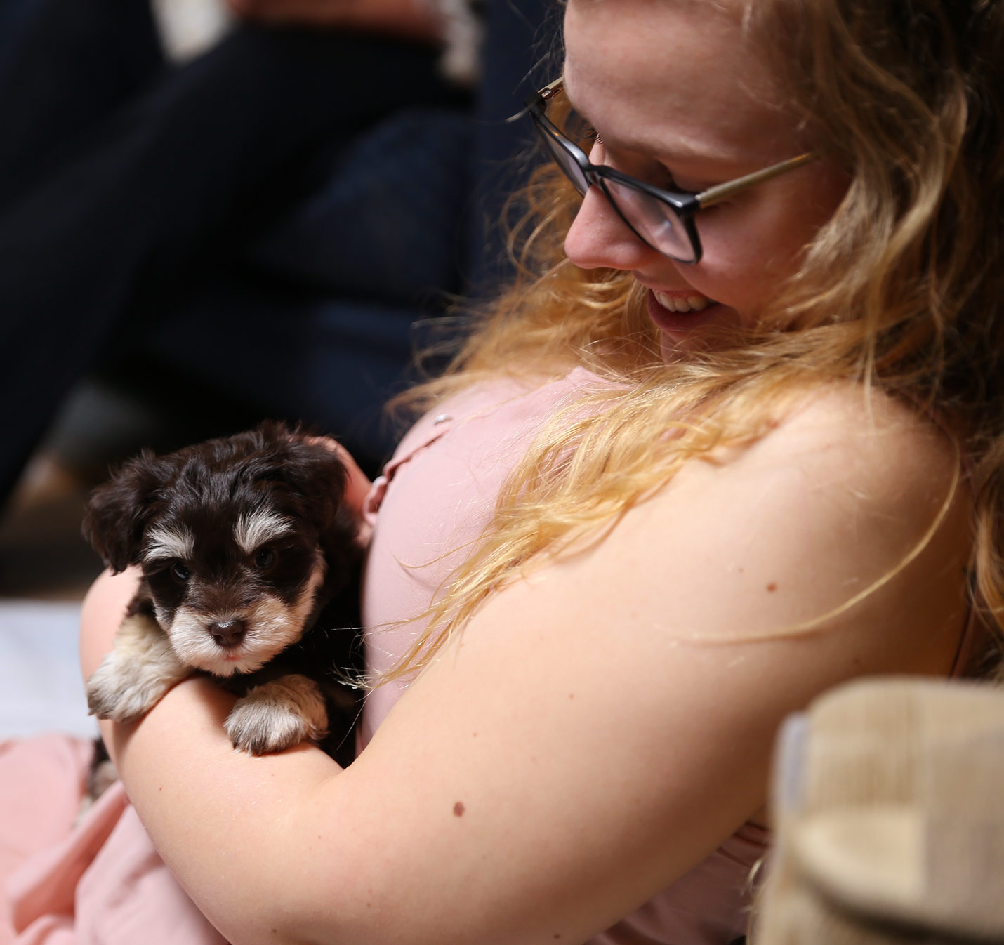 Students find relaxation through ‘puppy therapy’