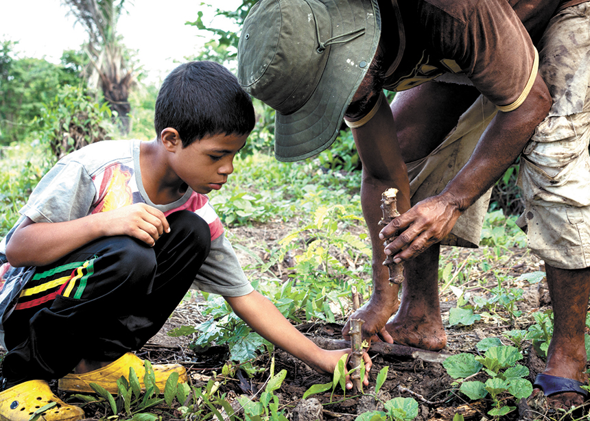 Carrying seeds from Colombia to Palestine