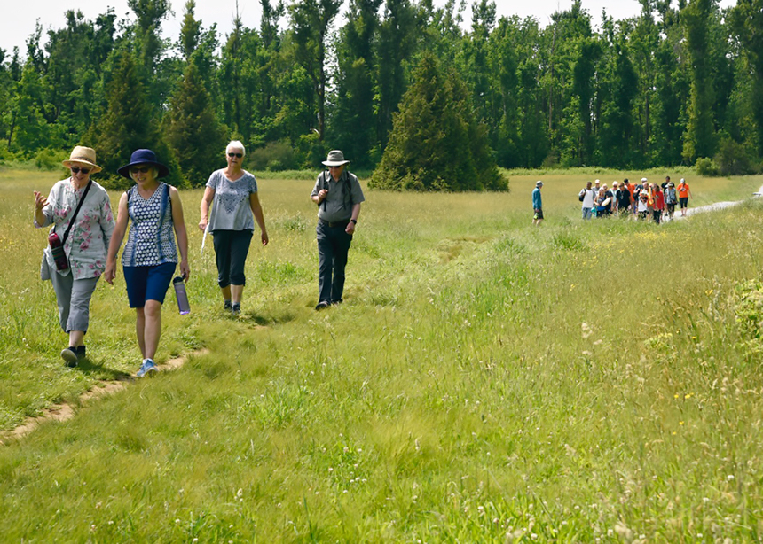 Walking and talking along the trail