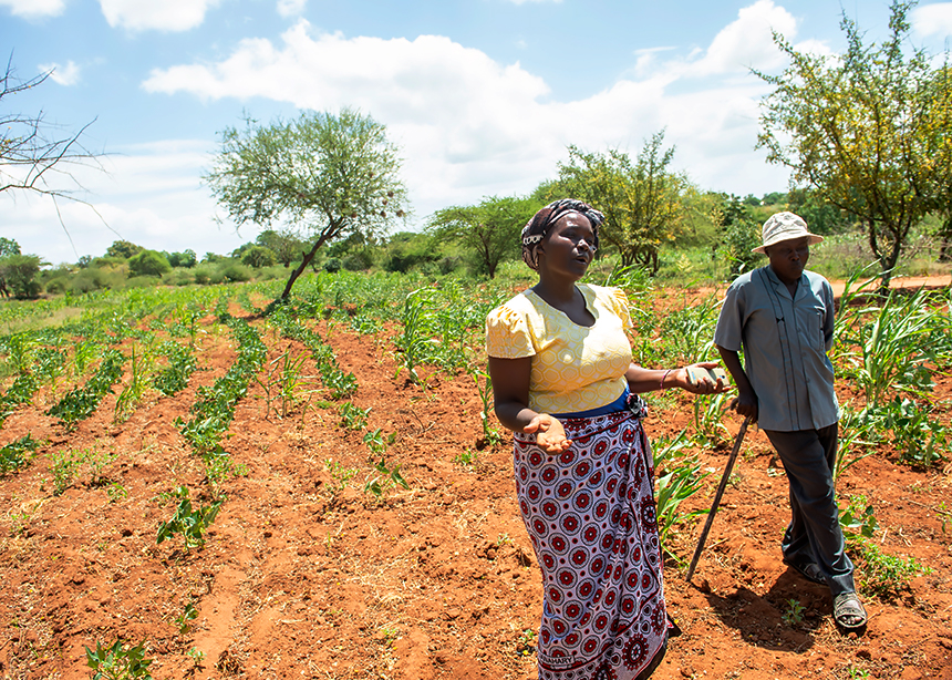 Global Mennonite enviro task force established