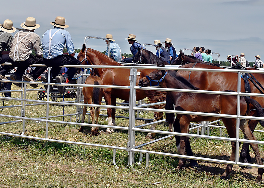 Auction raises funds for Amish private schools