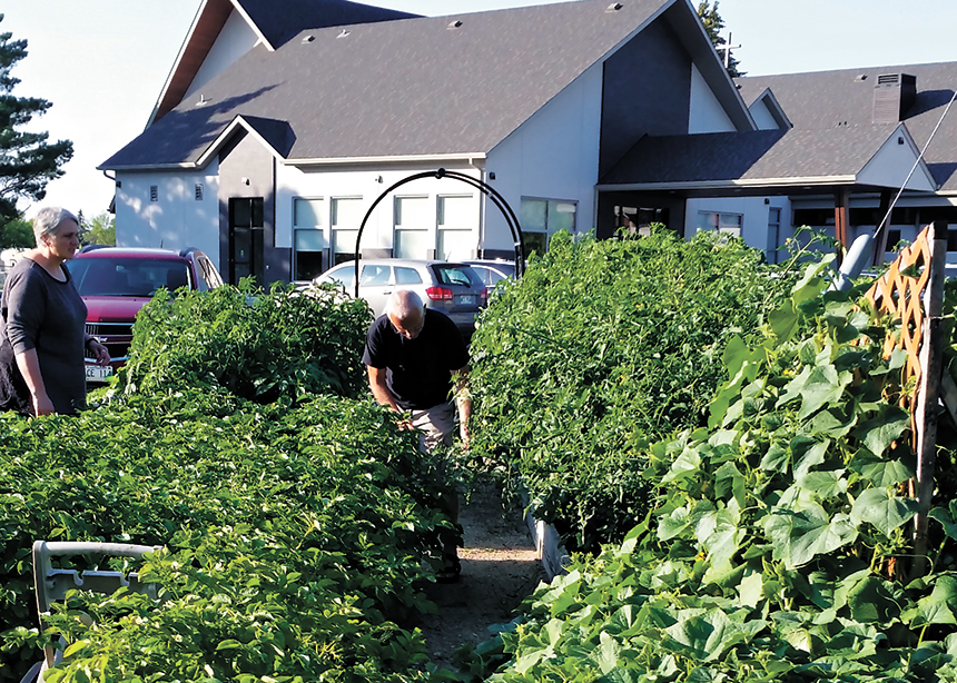 Church garden provides produce for soup kitchen