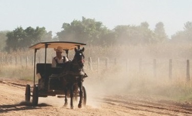 Mennonites talking