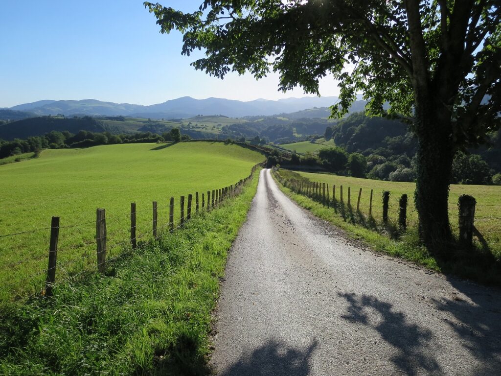 2016-June-14-Camino-033smaller