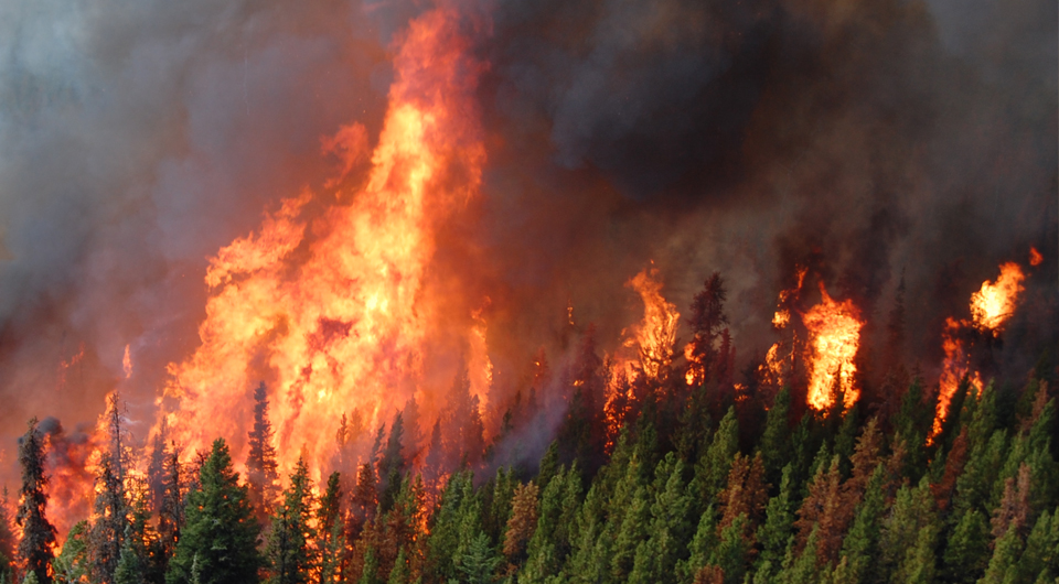 Burns Lake ‘in the thick of’ B.C. fires