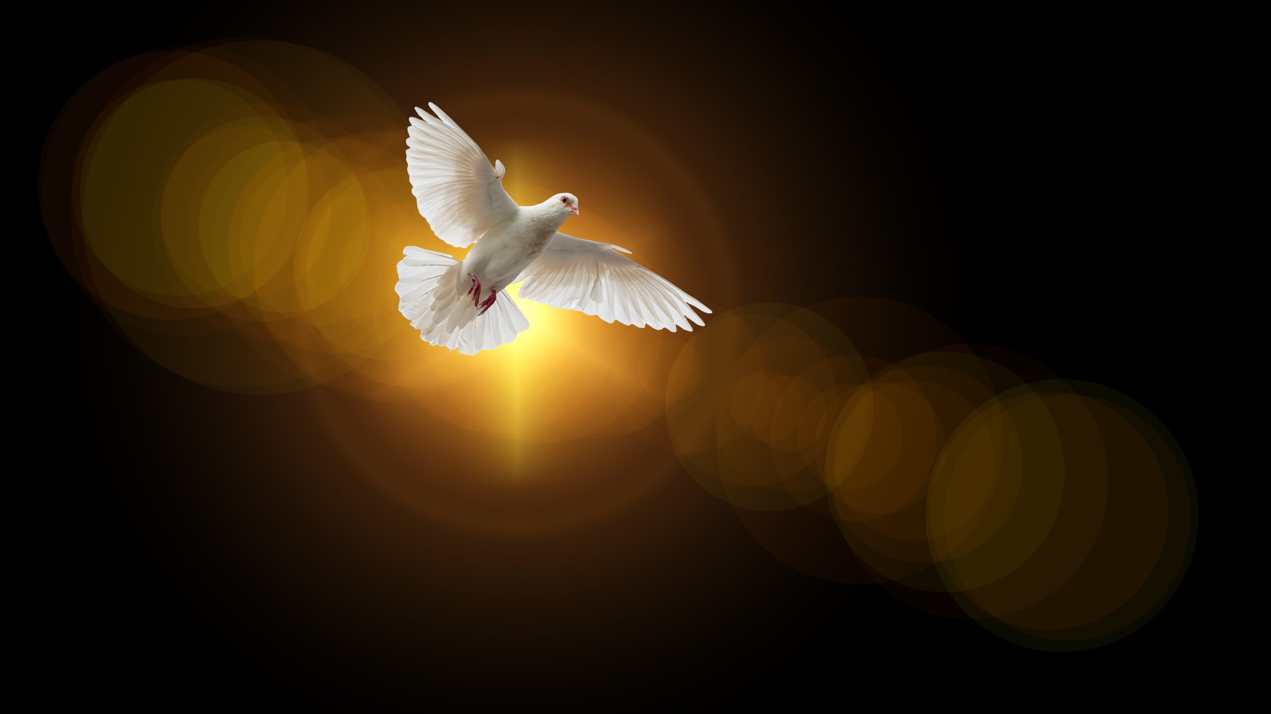 Make room and time for the Holy Spirit