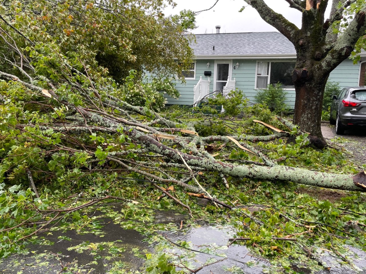 MDS volunteers begin cleanup in Nova Scotia