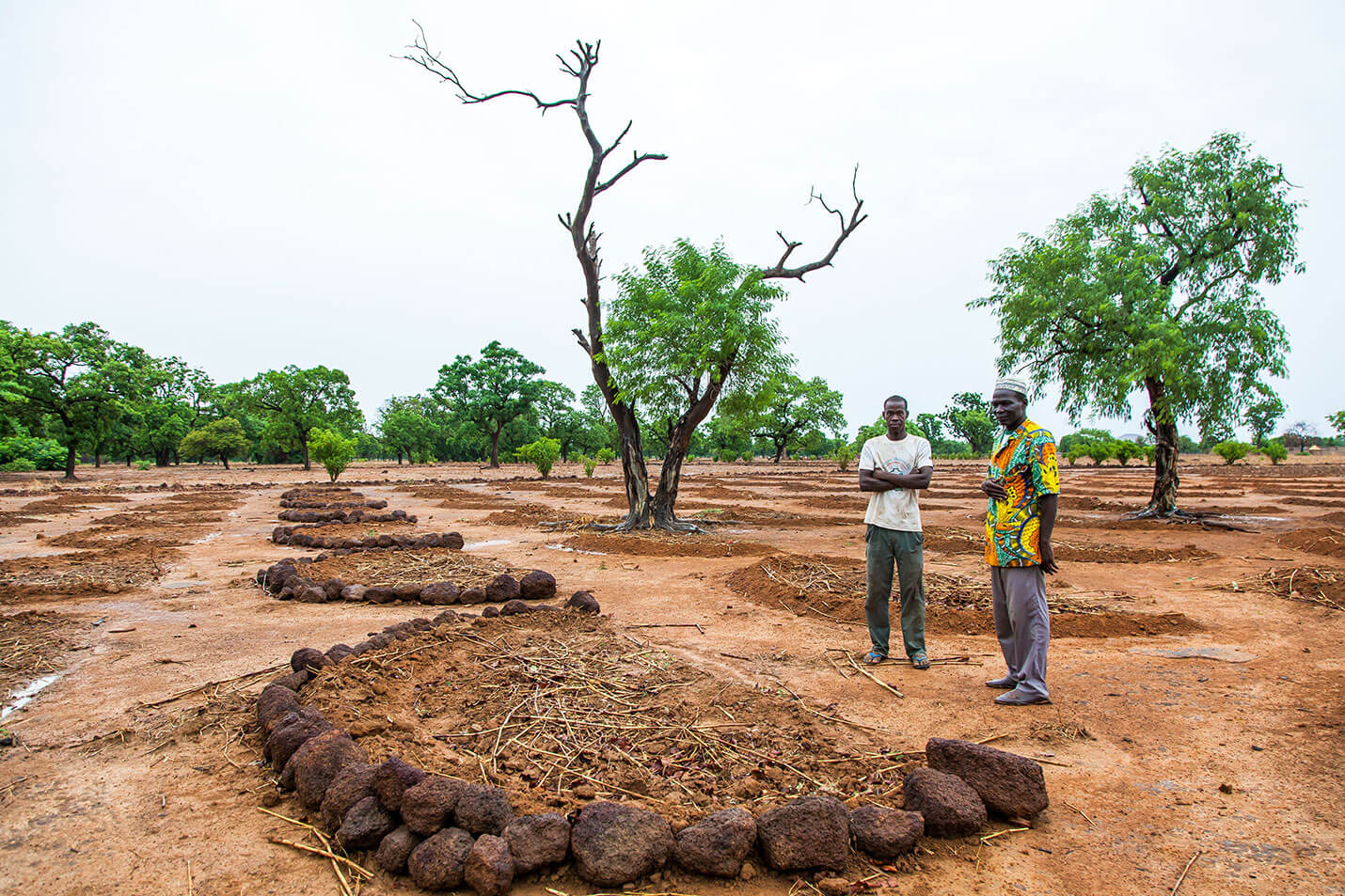 ‘Half-moon’ agriculture helps African farmers