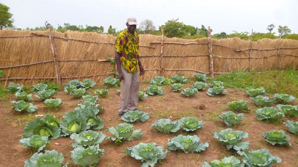 Credit helps Mennonite farmer in Burkina Faso