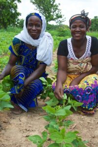 Women in Ghana MEDA